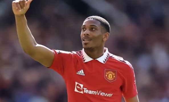 这种高度的 这种高度的